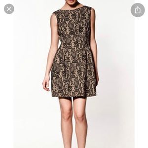 Zara Tulip Lace Dress